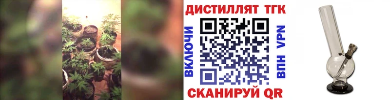 ТГК Wax сколько стоит Зея