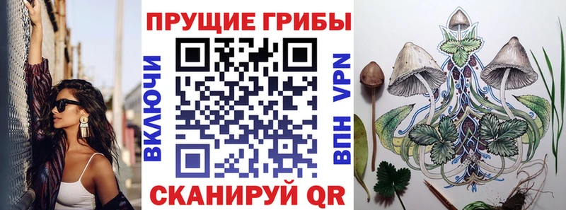 Псилоцибиновые грибы ЛСД  Зея 